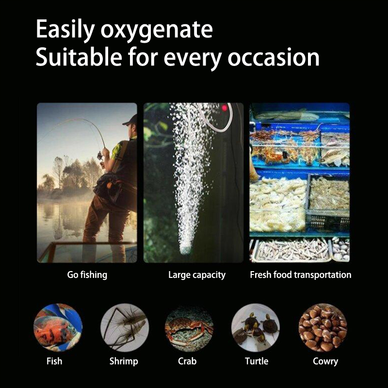 طقم مضخة هواء حوض السمك الصغير - مراجعة Aquaculture Aerator Pump وسعره