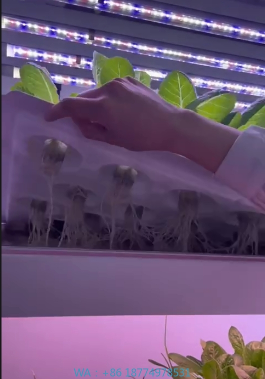 f المعدات الزراعية الدفيئة تنم - مراجعة Agriculture Farming Equipments وسعره