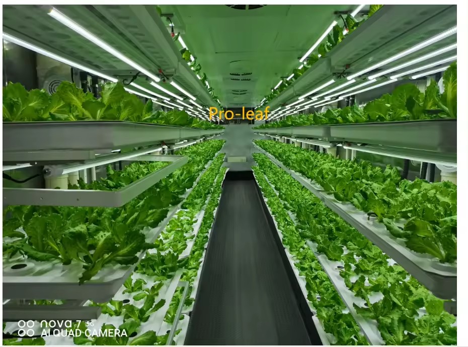 f المعدات الزراعية الدفيئة تنم - مراجعة Agriculture Farming Equipments وسعره