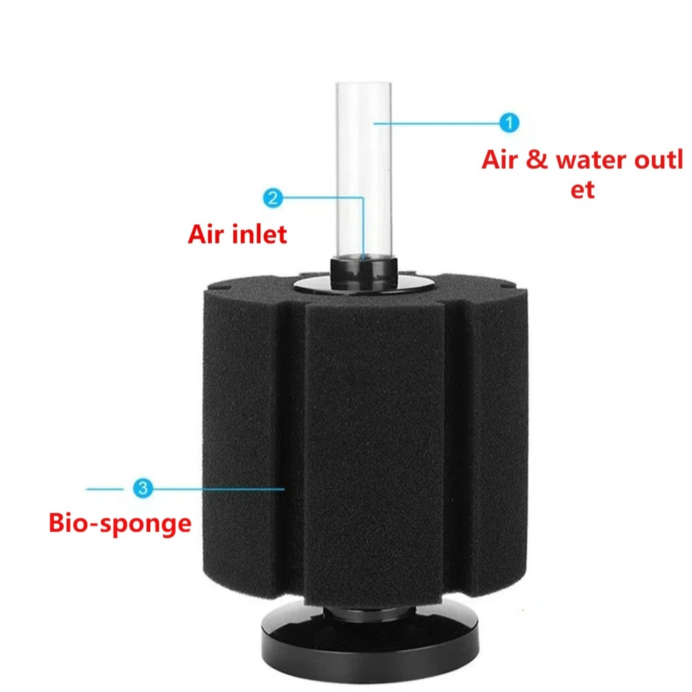 إسفنجة فلتر حوض السمك لمضخة هو - مراجعة Aquaculture Aerator Pump وسعره