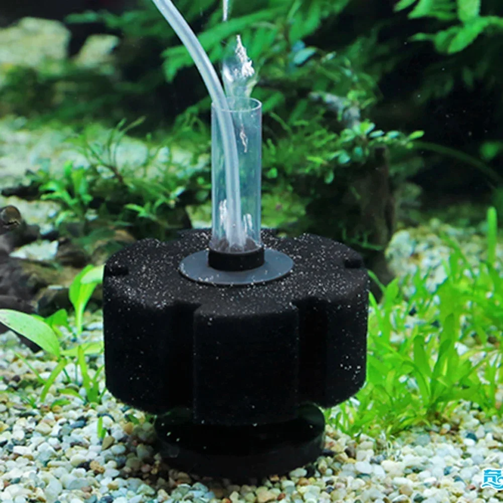 إسفنجة فلتر حوض السمك لمضخة هو - مراجعة Aquaculture Aerator Pump وسعره
